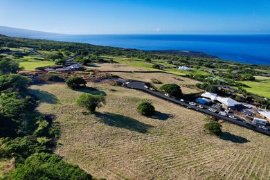 Beach Acreage For Sale in Kealakekua, Hawaii