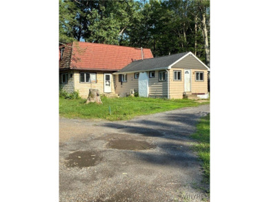 Beach Home For Sale in Angola, New York