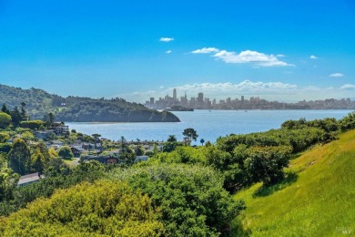Beach Condo For Sale in Tiburon, California