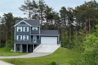 LAKE MICHIGAN LIVING! - Beach Home for sale in Ludington, Michigan on Beachhouse.com