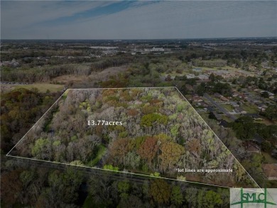 Beach Acreage For Sale in Savannah, Georgia
