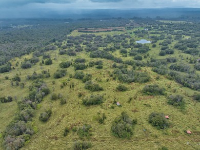 Beach Acreage For Sale in Mountain View, Hawaii