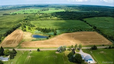 Beach Acreage For Sale in Carsonville, Michigan