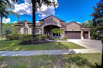 Beach Home Sale Pending in Land O Lakes, Florida