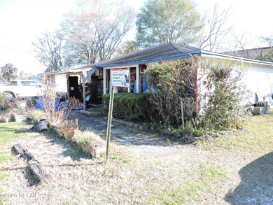 Beach Commercial For Sale in Middleburg, Florida