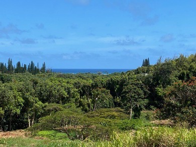 Beach Acreage For Sale in Kapaa, Hawaii