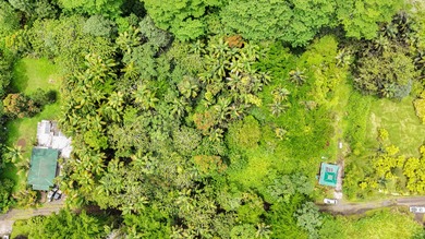 Beach Lot For Sale in Pahoa, Hawaii