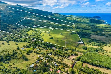 Beach Acreage For Sale in Hana, Hawaii