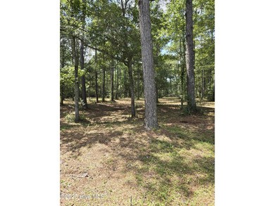 Beach Acreage For Sale in Shallotte, North Carolina