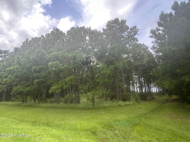 Beach Lot Sale Pending in Beaufort, North Carolina