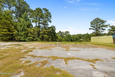 Beach Lot For Sale in Havelock, North Carolina