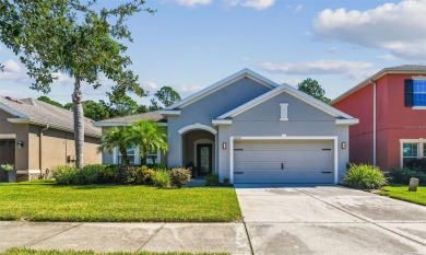 Beach Home Sale Pending in Tampa, Florida