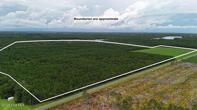 Beach Acreage Sale Pending in Oriental, North Carolina