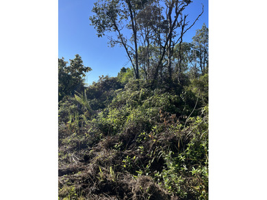 Beach Lot Active Under Contract in Keaau, Hawaii