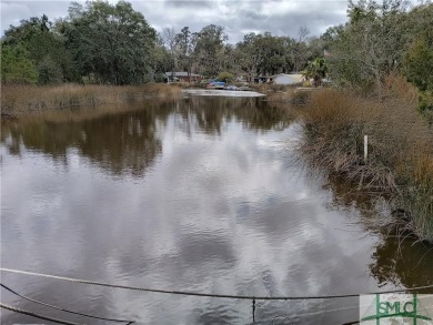 Beach Lot For Sale in Midway, Georgia