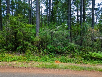 Beach Lot For Sale in Anderson Island, Washington