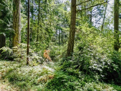 Beach Lot For Sale in Anderson Island, Washington