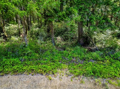 Beach Lot For Sale in Anderson Island, Washington