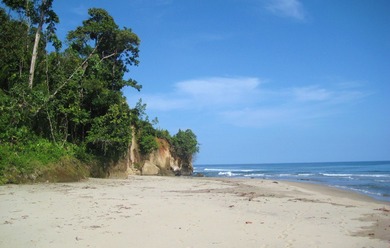 Beach Commercial For Sale in Veraguas, 