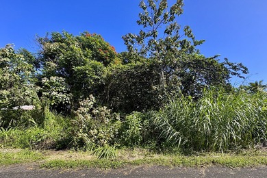 Beach Lot Active Under Contract in Pahoa, Hawaii