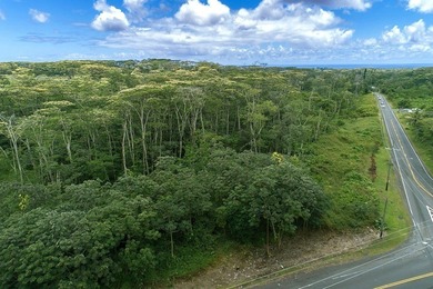 Beach Acreage For Sale in Pahoa, Hawaii