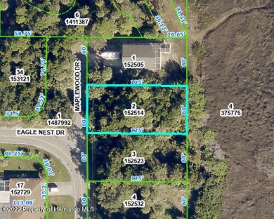 Beach Lot For Sale in Hernando Beach, Florida