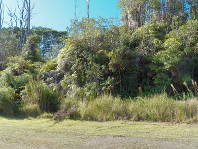 Beach Lot For Sale in Mountain View, Hawaii