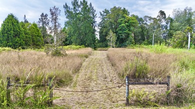 Beach Lot For Sale in Mountain View, Hawaii