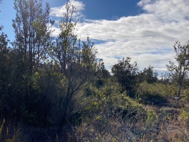 Beach Lot For Sale in Ocean View, Hawaii