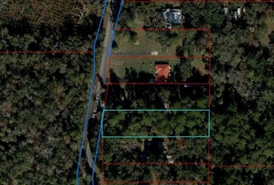 Beach Lot For Sale in Inglis, Florida
