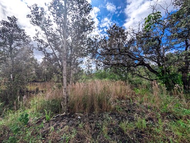 Beach Lot Active Under Contract in Ocean View, Hawaii