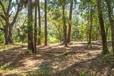 Beach Lot For Sale in Edisto Island, South Carolina