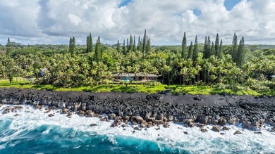 Beach Home For Sale in Pahoa, Hawaii