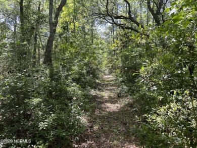 Beach Lot For Sale in Wilmington, North Carolina