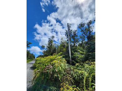 Beach Acreage For Sale in Volcano, Hawaii