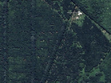 Beach Commercial For Sale in Pahala, Hawaii