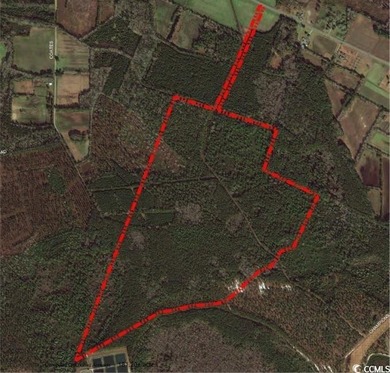 Beach Acreage For Sale in North Myrtle Beach, South Carolina