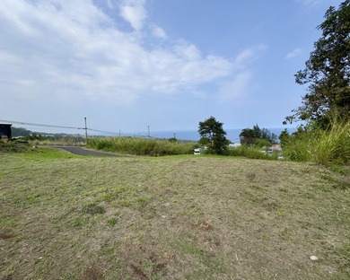 Beach Lot For Sale in Paauilo, Hawaii