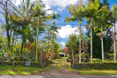 Beach Home For Sale in Pahoa, Hawaii