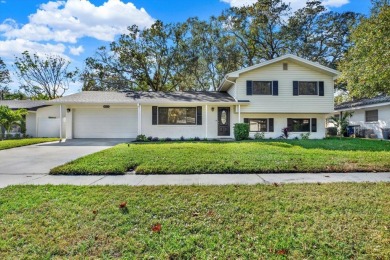 Beach Home For Sale in Clearwater, Florida