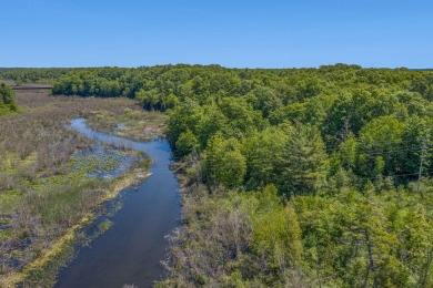 Beach Home Off Market in Pentwater, Michigan