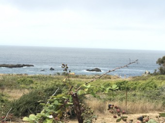 Beach Lot Off Market in Westport, California