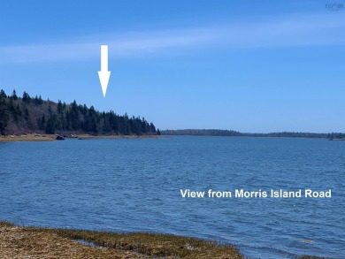 Beach Lot For Sale in Morris Island, 