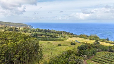 Beach Acreage For Sale in Papaaloa, Hawaii