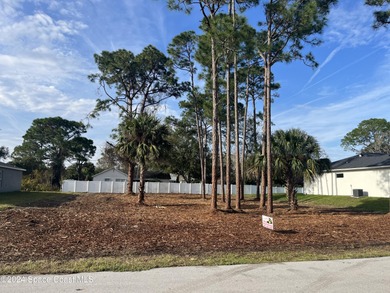 Beach Lot For Sale in Palm Bay, Florida