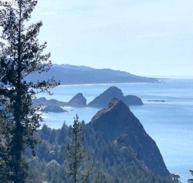 Beach Lot For Sale in Port Orford, Oregon