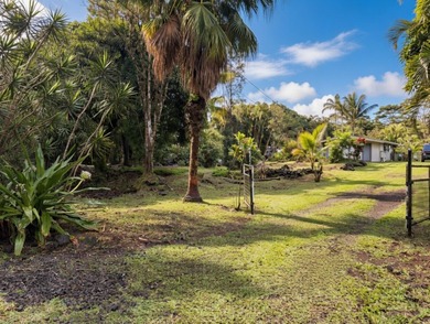 Beach Home For Sale in Keaau, Hawaii