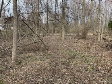 Beach Lot Off Market in Angola, New York