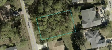 Beach Lot Sale Pending in Palm Coast, Florida
