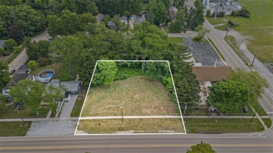 Beach Lot For Sale in New Buffalo, Michigan